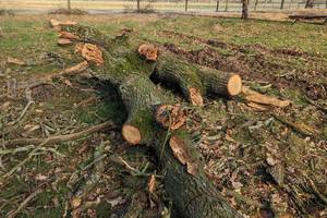 Naturschutzbehörde bitte um Mithilfe bei der Aufklärung pxl 20230208 122834645