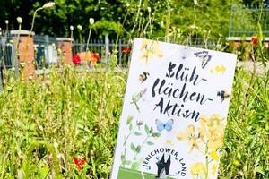 blühflächen aktion