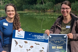 Bat-Night 2026 design ohne titel