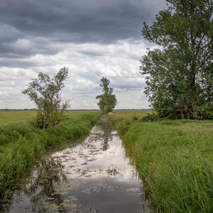 Fiener Bruch mit Fiener Bach © Christian Greuel