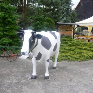 Röhlscher Hof, Kuh Elsa © Röhlscher Hof