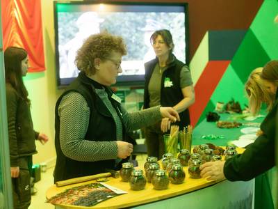 Infostand Forstliches Bildungszentrum Sachsen-Anhalt und Bundesforst Infostand Forstliches Bildungszentrum Sachsen-Anhalt und Bundesforst