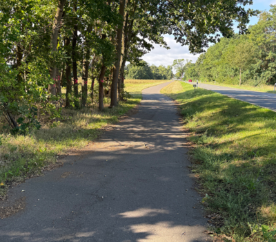 Radweg an K 1199 zwischen Genthin und Brettin