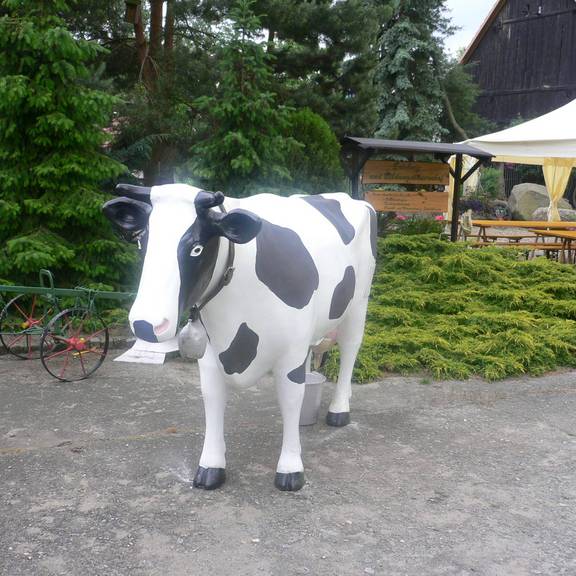 Röhlscher Hof, Kuh Elsa © Röhlscher Hof