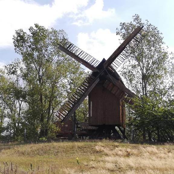 Windmühle Hohenwarthe © Landkreis Jerichower Land Windmühle Hohenwarthe