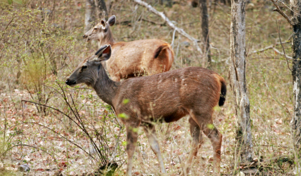 Widerruf der Notzeit